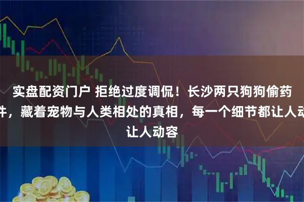 实盘配资门户 拒绝过度调侃！长沙两只狗狗偷药事件，藏着宠物与人类相处的真相，每一个细节都让人动容